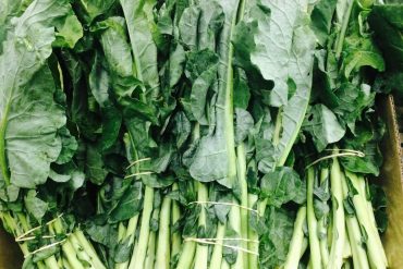 chard, leafy greens, plant based, vegan diet, iron, vegan sources of iron, vegan iron