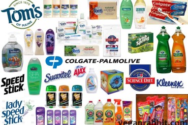 colgate palmolive, animal testing, vivisection, companies that test on animals,