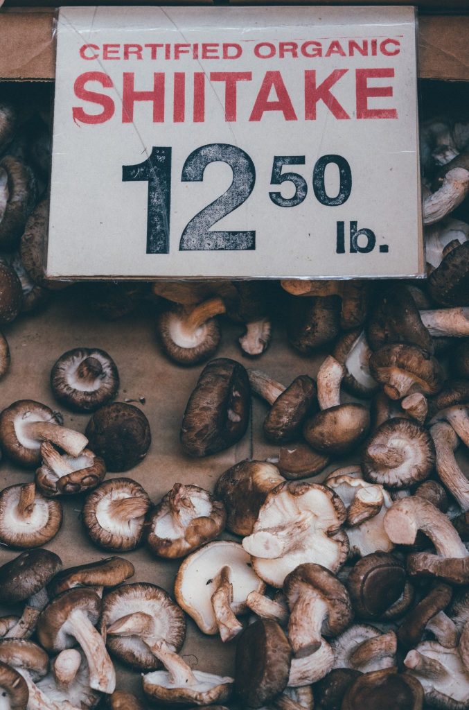 shiitake, mushroom, mushrooms, vegan choline, choline, vegan choline sources